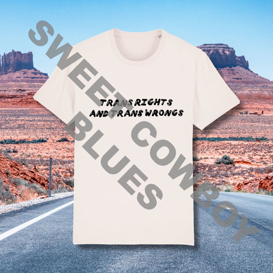 Bargain Trans Rights and Trans Wrongs Tee