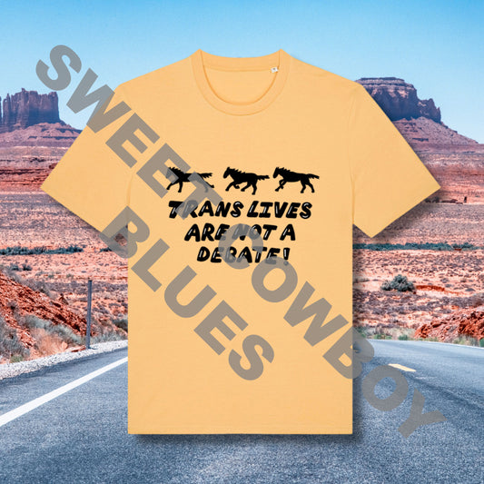 Not A Debate T Shirt