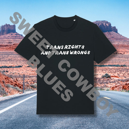 Bargain Trans Rights and Trans Wrongs Tee