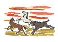 Horses Postcard