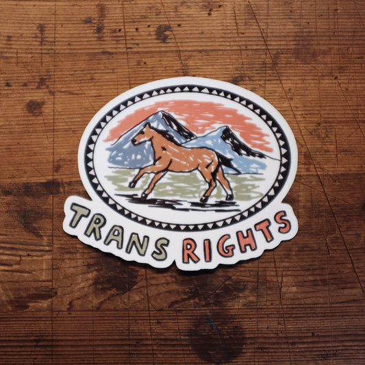 Trans Rights Sticker