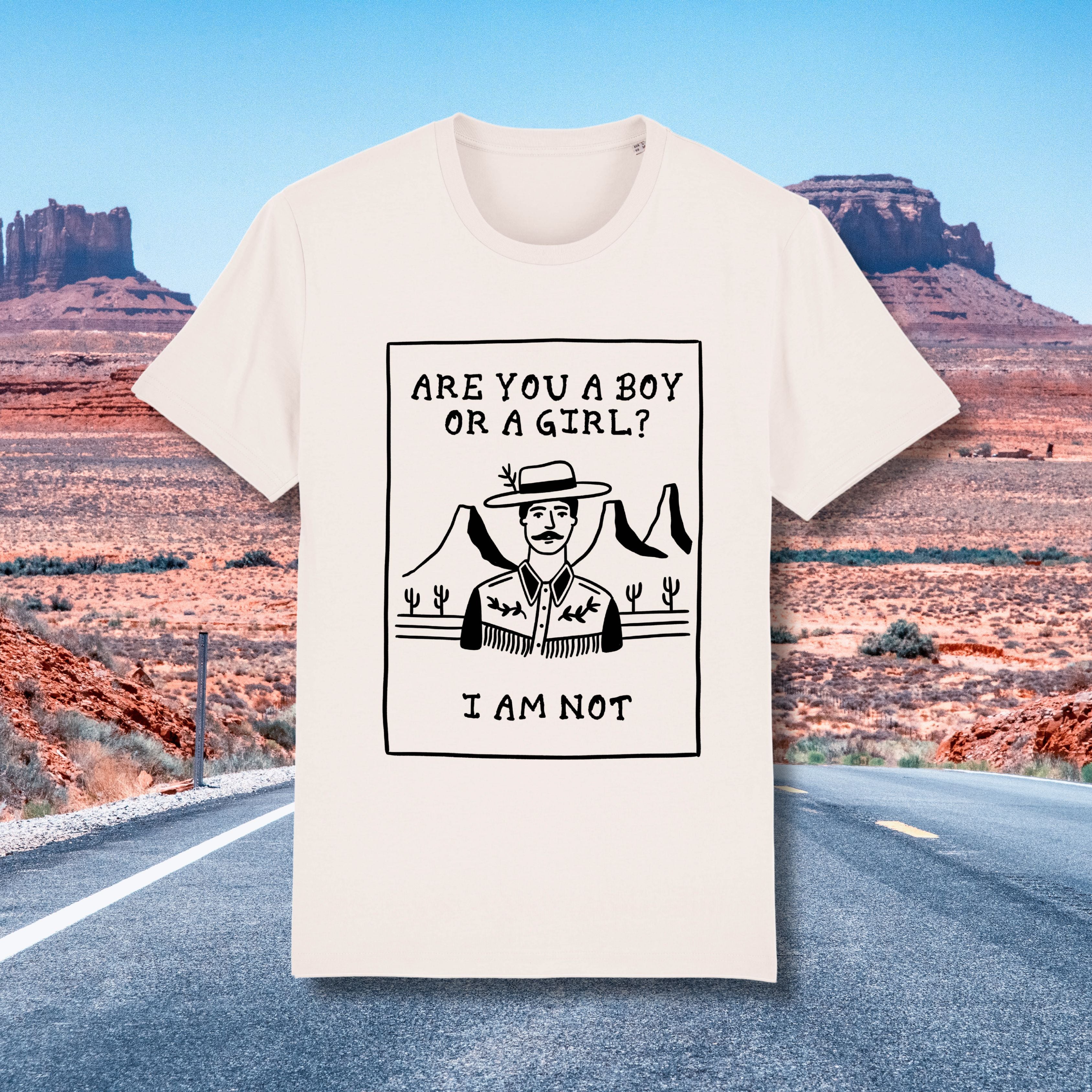 Boy Or Girl T Shirt | Queer Gender Identity Tee