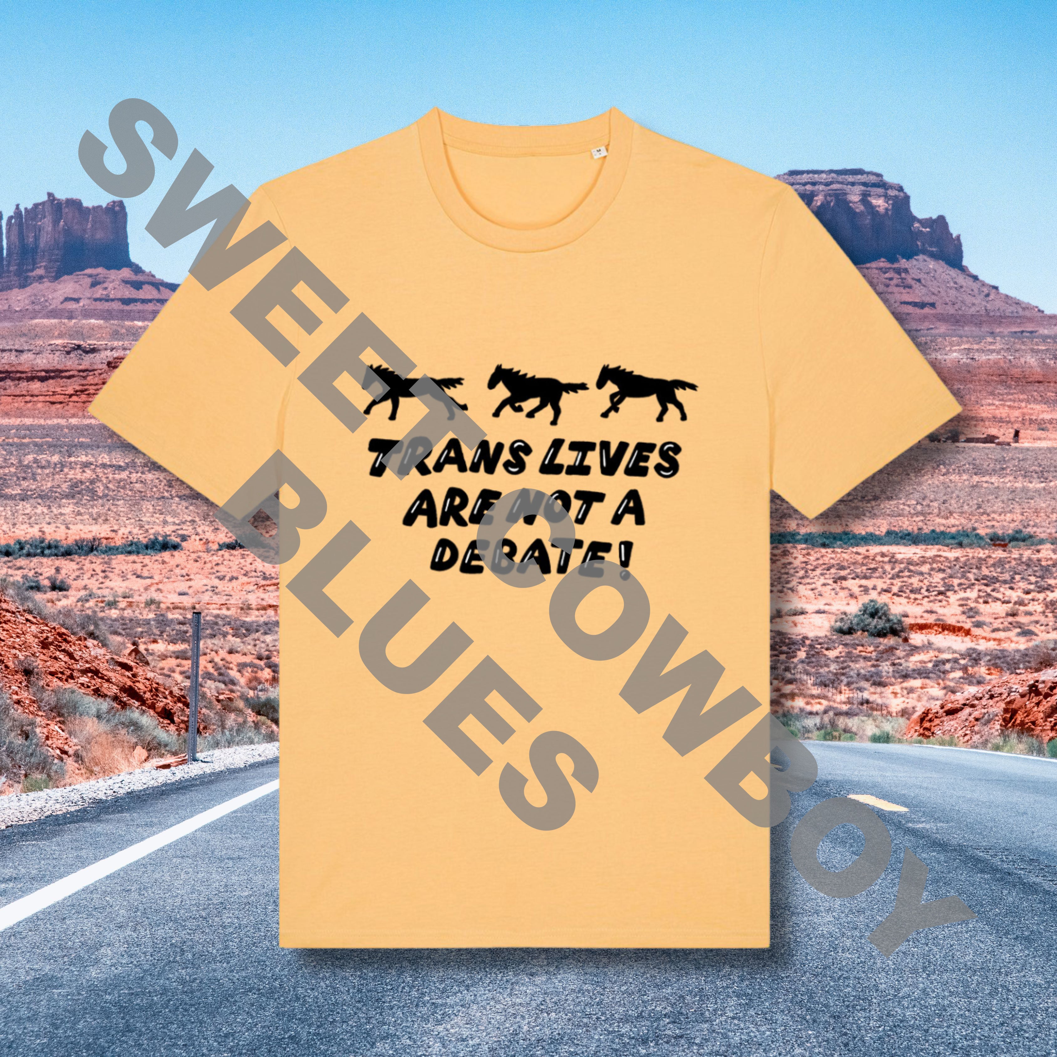 Bargain Not A Debate T Shirt